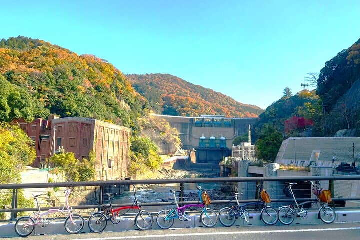 Slow Cycling Through Uji's Matcha Fields and Heritage photo 4