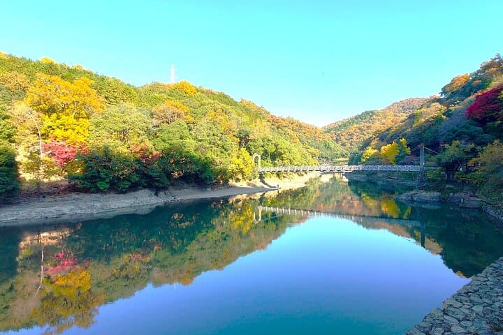 Slow Cycling Through Uji's Matcha Fields and Heritage photo 3