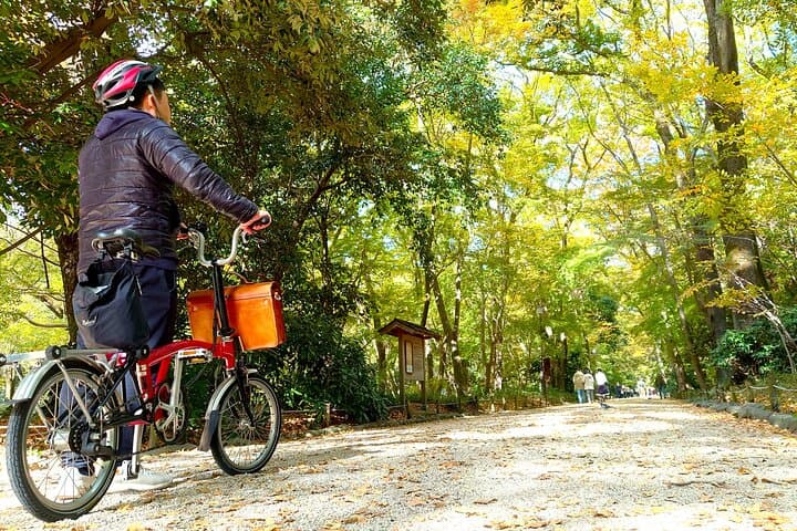 Slow Cycling the Higashiyama Waterfront: Brompton Tour of Kyoto's Canals and Temples photo 5