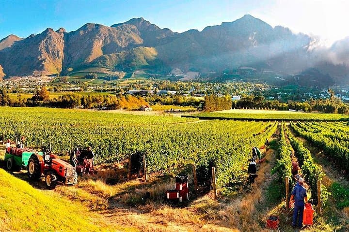 Full-Day Cape Winelands Tour: Stellenbosch, Franschhoek & Paarl Wine Tasting Experience photo 3