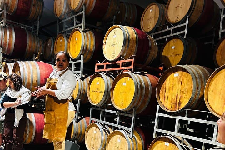 Full-Day Cape Winelands Tour: Stellenbosch, Franschhoek & Paarl Wine Tasting Experience photo 4