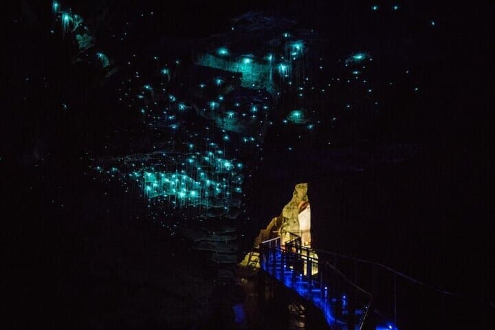 Exploring Waitomo Glow Worm Caves: Guided Boat Tour from Auckland