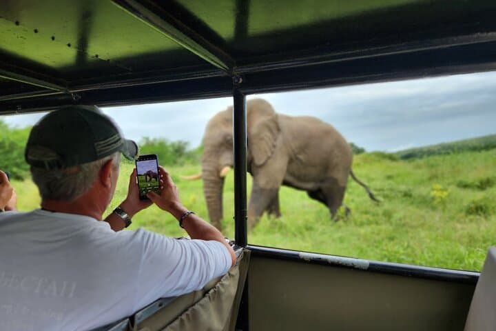 Richards Bay to Hluhluwe Safari — Private Small-Group Big 5 Shore Excursion photo 5