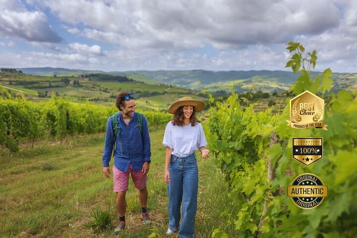 Chianti Classico Hiking and Organic Wine Tasting: 3 Wineries & Lunch