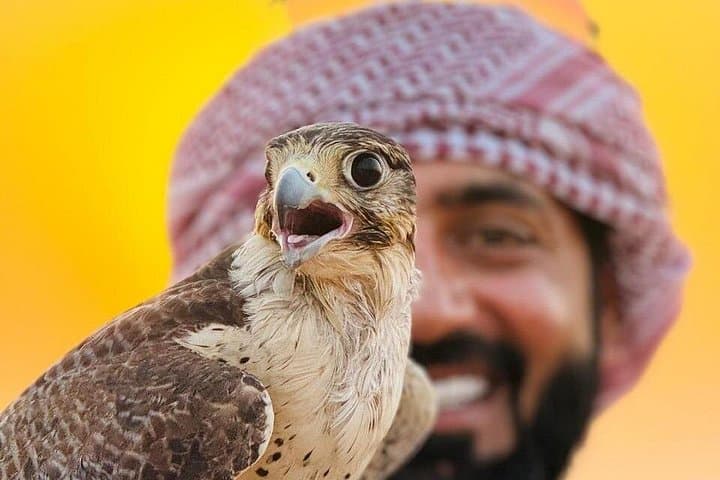Morning Desert Safari Dubai: Dune Bashing, Sandboarding & Camel Rides photo 3