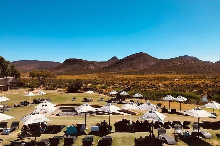Aquila Private Game Reserve Safari Tour with Wine Tasting from Cape Town photo 4