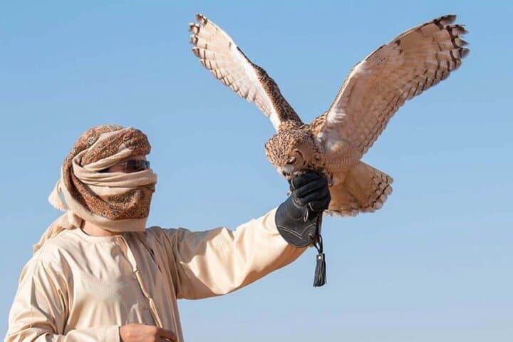 Evening Dubai Desert Safari: Dune Bashing, Camel Rides & Live BBQ Experience photo 4