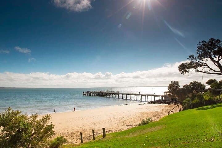 Private Phillip Island Day Tour from Melbourne — Koalas, Nobbies & Penguin Parade photo 4