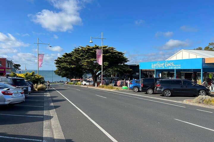 Private Phillip Island Day Tour from Melbourne — Koalas, Nobbies & Penguin Parade photo 5