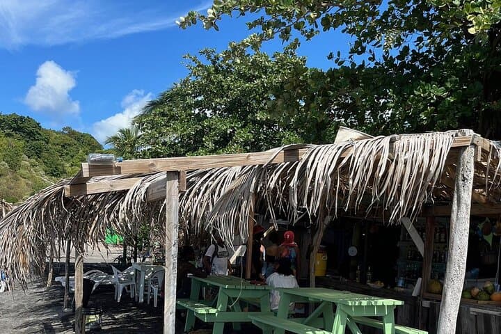 Dominica Waterfalls, Sulphur Spa & Black Sand Beach Day Tour photo 3