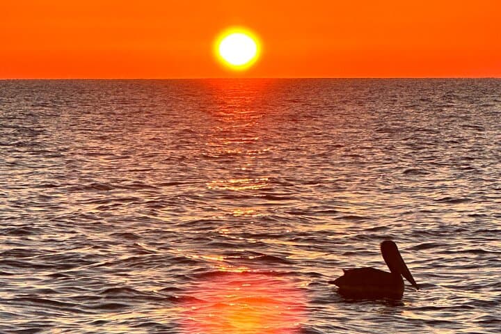 Daytona Beach Sunrise Cruise: Atlantic Dawn with Dolphins and Mimosas