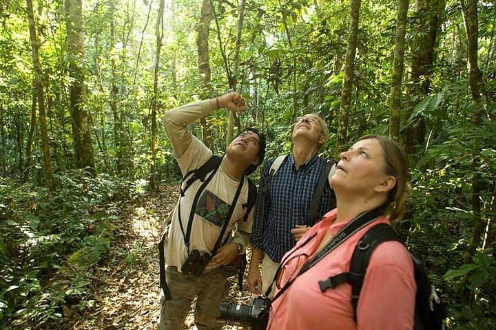 Rainforest Waterfall, Coffee & Chocolate Day Tour from Playa Flamingo