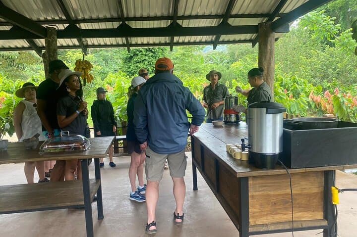 Rainforest Waterfall, Coffee & Chocolate Day Tour from Playa Flamingo photo 5