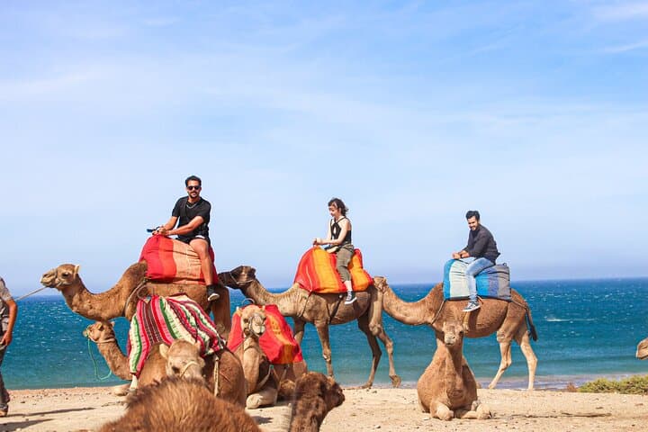 Tangier Panoramic Tour: Cap Spartel & Hercules Cave with Camel Ride photo 4