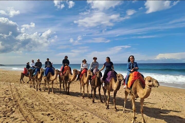 Tangier Panoramic Tour: Cap Spartel & Hercules Cave with Camel Ride
