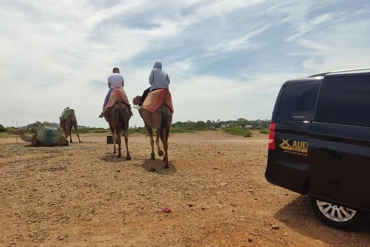 Tangier Panoramic Tour: Cap Spartel & Hercules Cave with Camel Ride photo 3