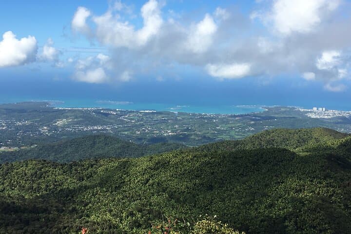 Accessible El Yunque Rainforest Bus Tour — Wheelchair-Friendly Waterfalls, Views & Luquillo Eats photo 3