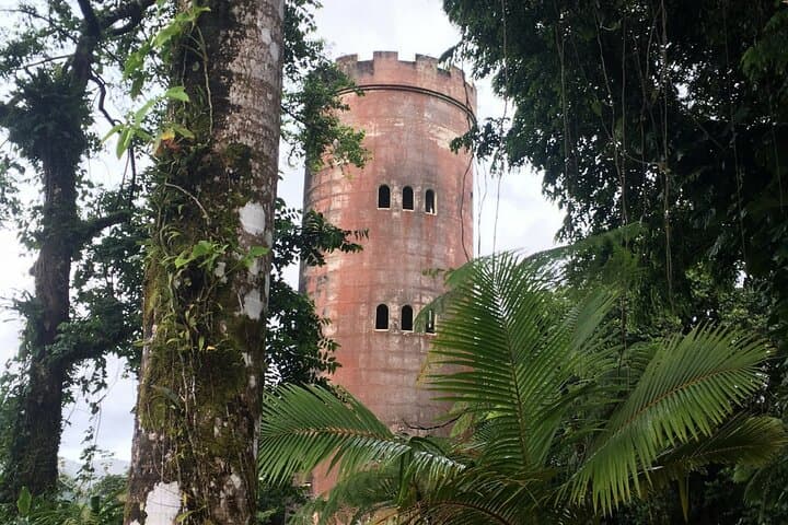 Accessible El Yunque Rainforest Bus Tour — Wheelchair-Friendly Waterfalls, Views & Luquillo Eats photo 6