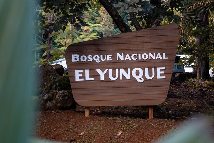 Accessible El Yunque Rainforest Bus Tour — Wheelchair-Friendly Waterfalls, Views & Luquillo Eats