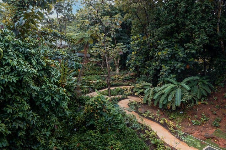 Accessible El Yunque Rainforest Bus Tour — Wheelchair-Friendly Waterfalls, Views & Luquillo Eats photo 2