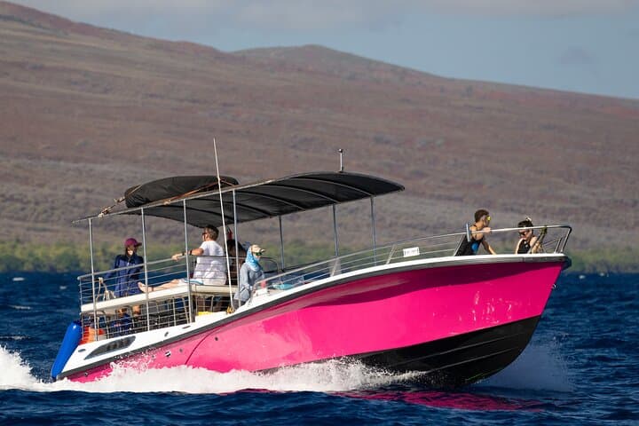 Lahaina 2-Hour Afternoon Whale Watch — Small-Group Boat Tour with Hydrophone photo 4