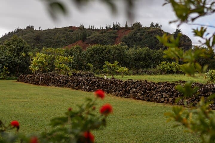 Kauai East Side Shared Adventure: Lydgate to ʻŌpaekaʻa Falls Trolley Tour photo 2