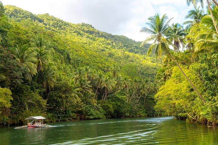 Bohol Whale Shark Watching with Loboc River Lunch — Responsible Day Tour from Tagbilaran photo 3