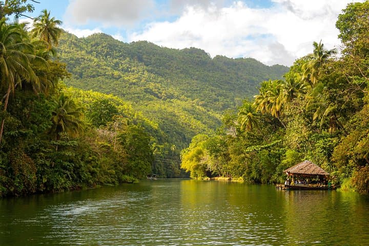 Bohol Whale Shark Watching with Loboc River Lunch — Responsible Day Tour from Tagbilaran