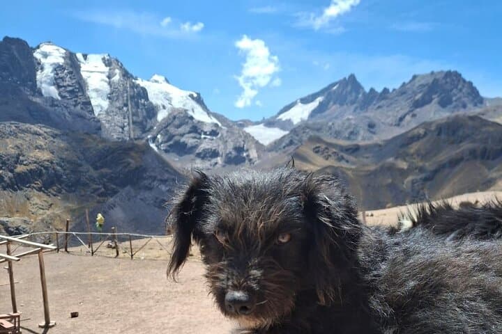 Hike Vinicunca: A Practical Guide to Rainbow Mountain Near Cusco photo 6