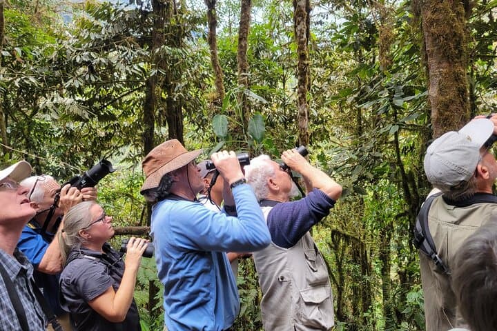 Mindo Cloud Forest Day Trip from Quito — Birding, Waterfalls & Cloud-Forest Trails photo 2
