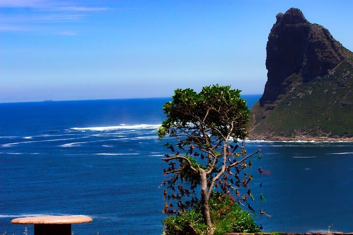 Cape Peninsula Private Tour: Cape Point, Penguins & Chapman’s Peak Drive photo 6