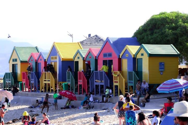Half-Day Boulders Beach Penguin Encounter & Swimming from Cape Town photo 5