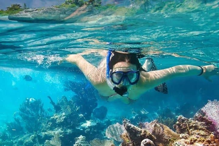 Lazy Similan Islands Catamaran Snorkeling & Lunch — Day Trip from Khao Lak photo 5