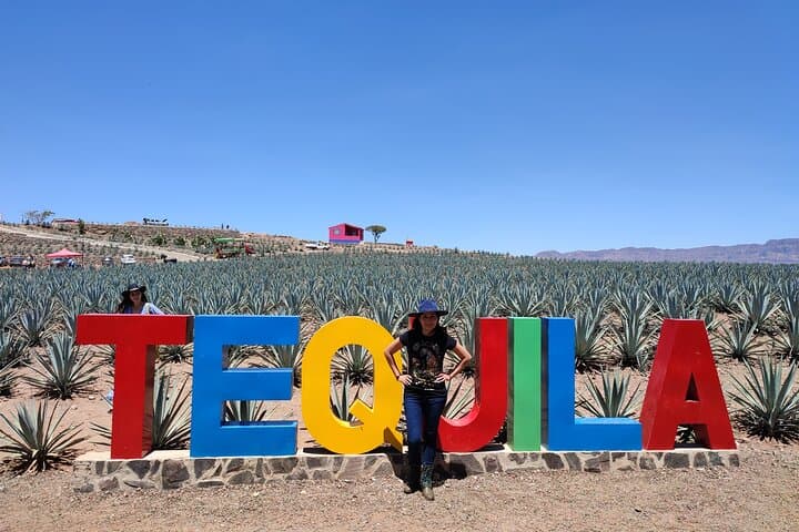 Tequila Day Trip from Guadalajara: Distilleries, Agave Fields & Tastings photo 5