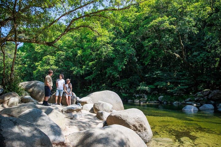 Daintree Rainforest & Cape Tribulation Day Tour from Cairns — Rainforest Meets Reef
