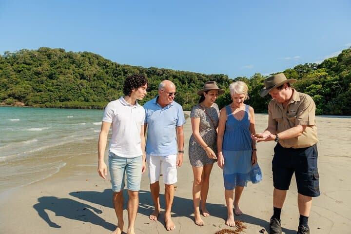 Daintree Rainforest & Cape Tribulation Day Tour from Cairns — Rainforest Meets Reef photo 3