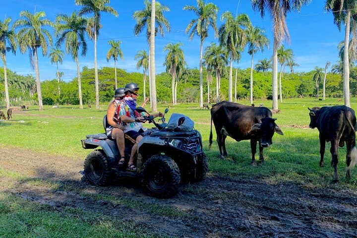 ATV Thrills from Amber Cove to Taino Bay — Maimón Countryside Ride photo 3