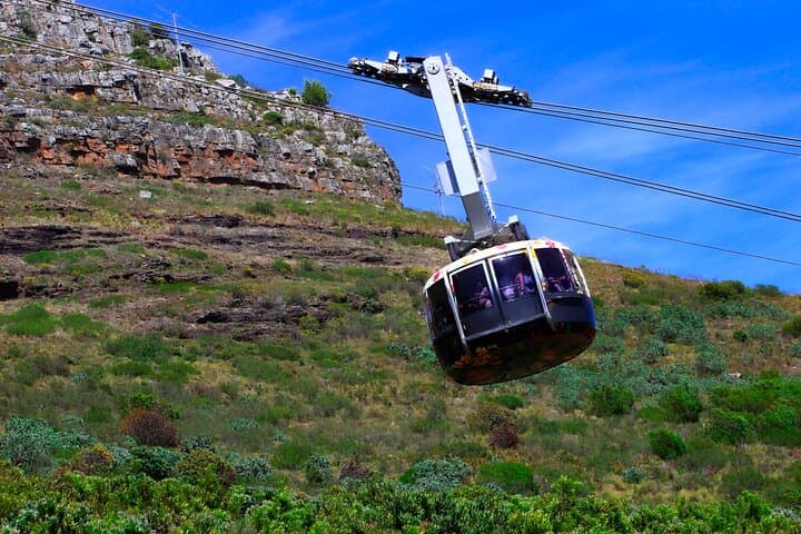 Table Mountain & Cape Peninsula Private Tour — Cableway, Cape Point & Boulders Beach photo 3
