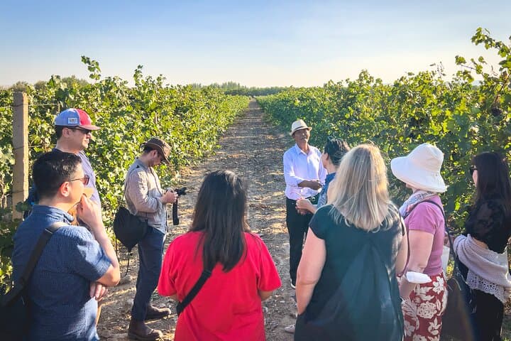 3-Day Wine Tasting Tour of Ningxia's Helan Mountain Wineries