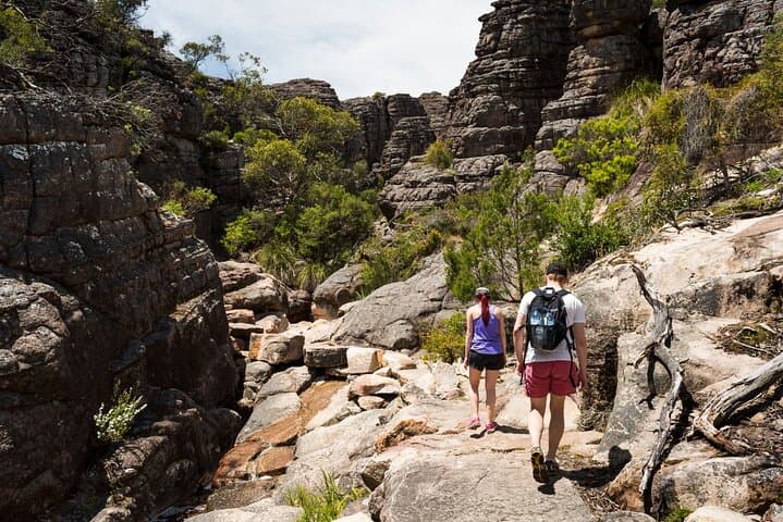 Grampians National Park Eco Day Tour from Melbourne — Halls Gap, Mackenzie Falls & Lookouts