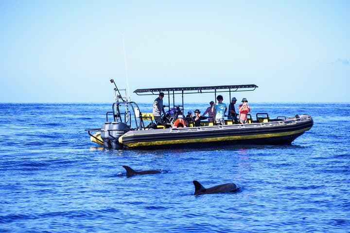 Kona Private Charter — 4-Hour Customizable Boat Trip to Kealakekua & Manta Sites photo 1