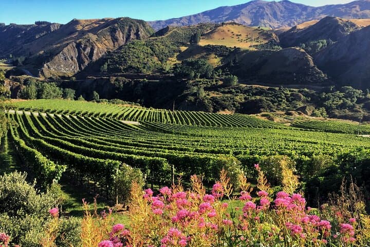 Gibbston Valley Wine Tour: Private Tastings from Queenstown photo 4
