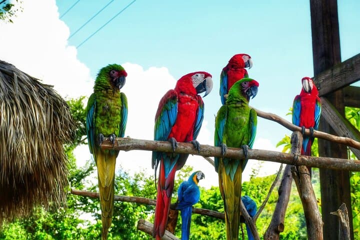 La Hacienda Park: 7-in-1 Adventure Day in Punta Cana