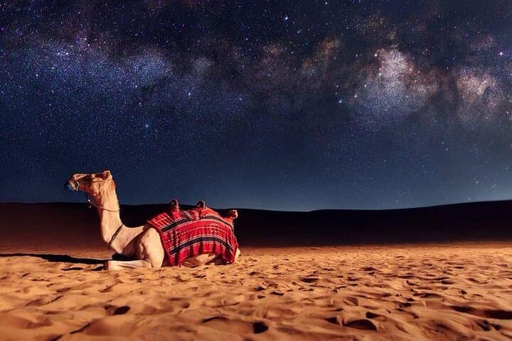 Doha Night Desert Safari: Stargazing, Camel Ride & Dune Bashing