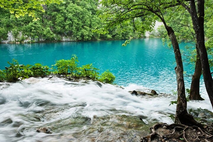 Split to Rovinj via Plitvice: 4-Hour Stop at Croatia's Iconic Lakes photo 3