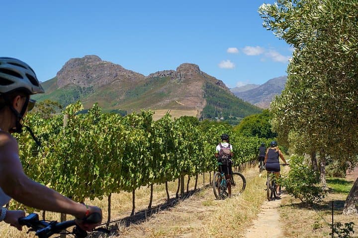 Franschhoek Half-Day Mountain Bike & Wine Tour — Ride Vineyards and Cellars photo 3