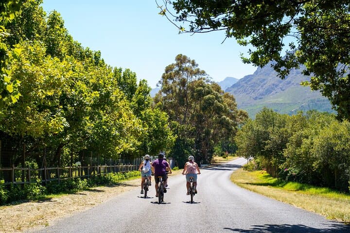 Cycle the Franschhoek Winelands: Half-Day Vineyard Tour & Tastings