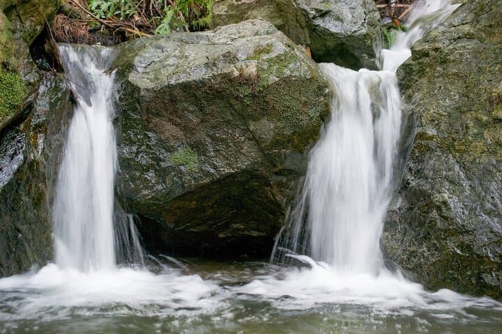 Self-Guided Muir Woods Audio Tour: Drive, Walk & Discover Coastal Redwoods photo 5