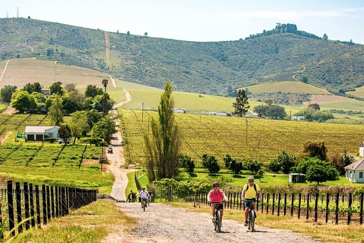Stellenbosch Luxury Winelands eBike Tour — Full-Day Wine & Vineyard Cycling Experience photo 4
