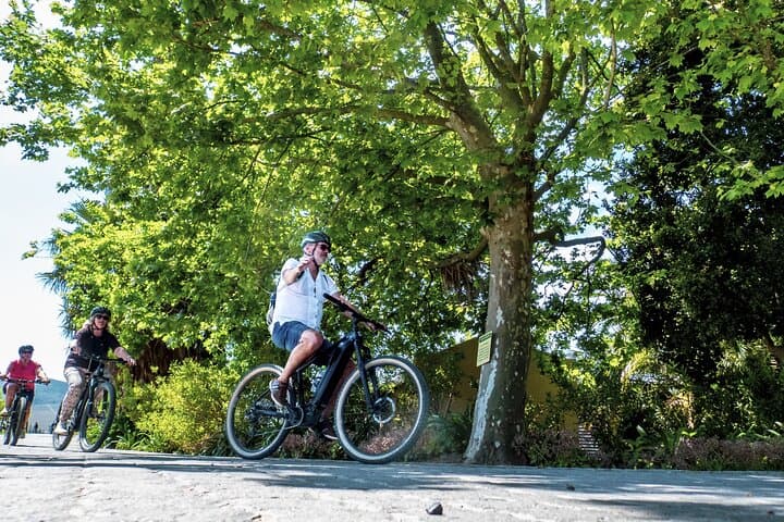 Stellenbosch Luxury Winelands eBike Tour — Full-Day Wine & Vineyard Cycling Experience